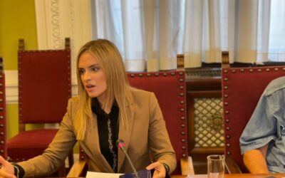 Тражимо да се Резолуција против санкција стави на дневни ред Одбора за спољне послове!